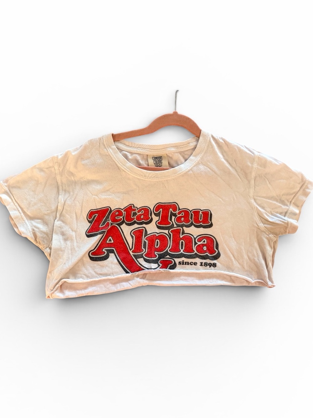 ZETA M Comfort Colors Cropped White Logo Graphic Tee T-Shirt Top